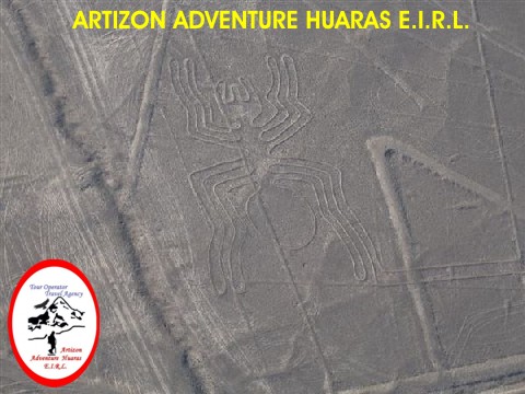 Araa - Lineas de Nazca - Ica